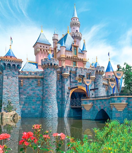 Sleeping Beauty Castle at Disneyland with roses and the moat in front