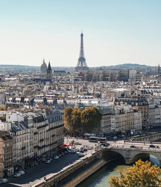 Paris rooftops with the Eiffel Tower