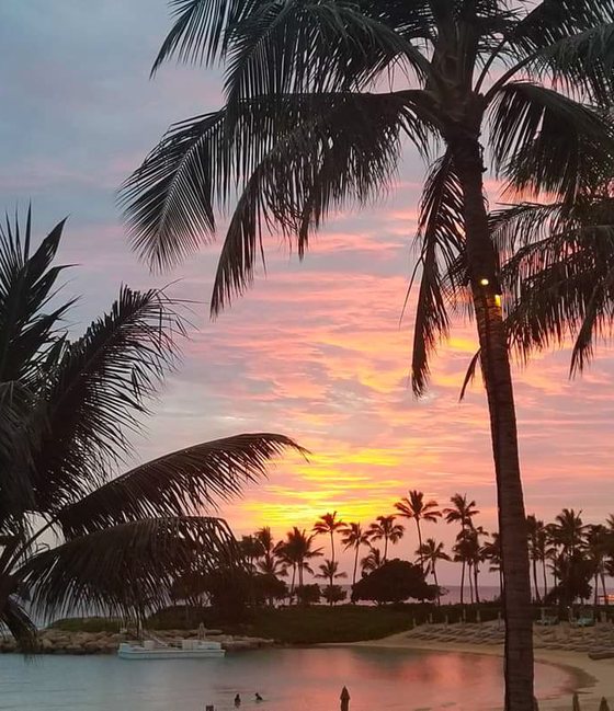 Pink and gold Hawaiian sunset behind palm trees over a calm lagoon